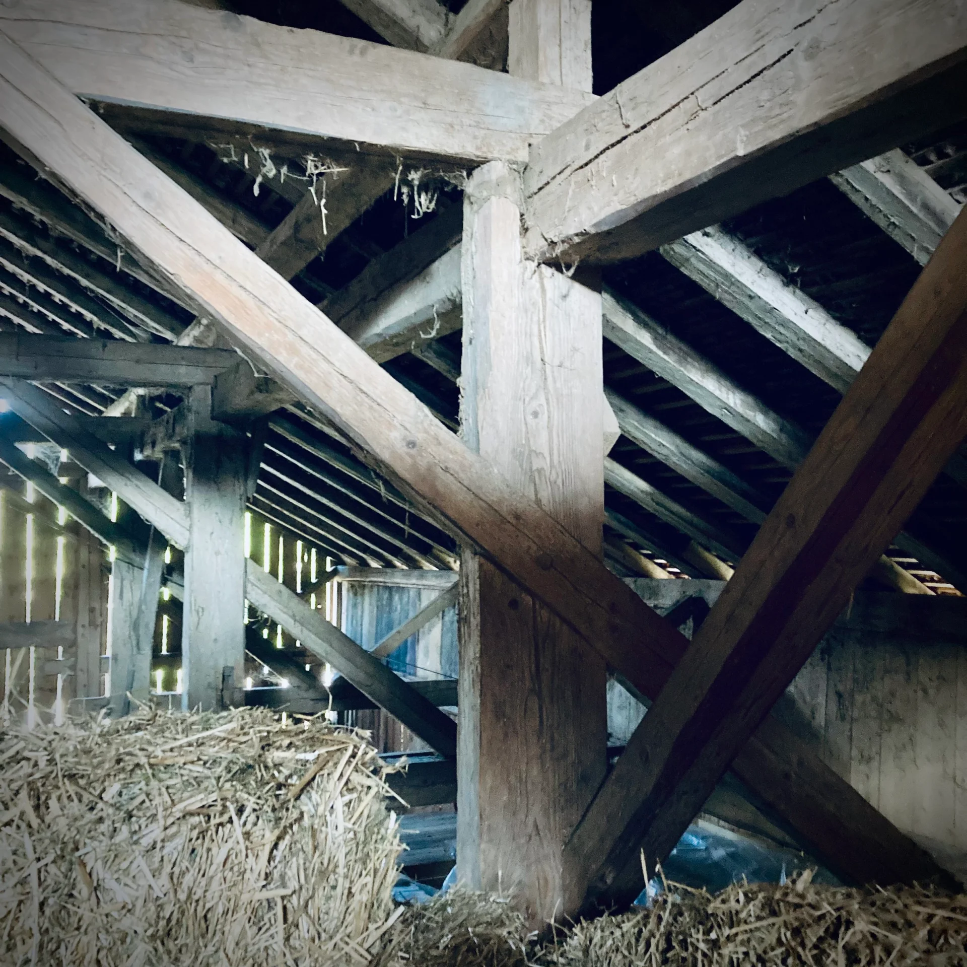 Ferme vaudoise à Carrouge — vue 3