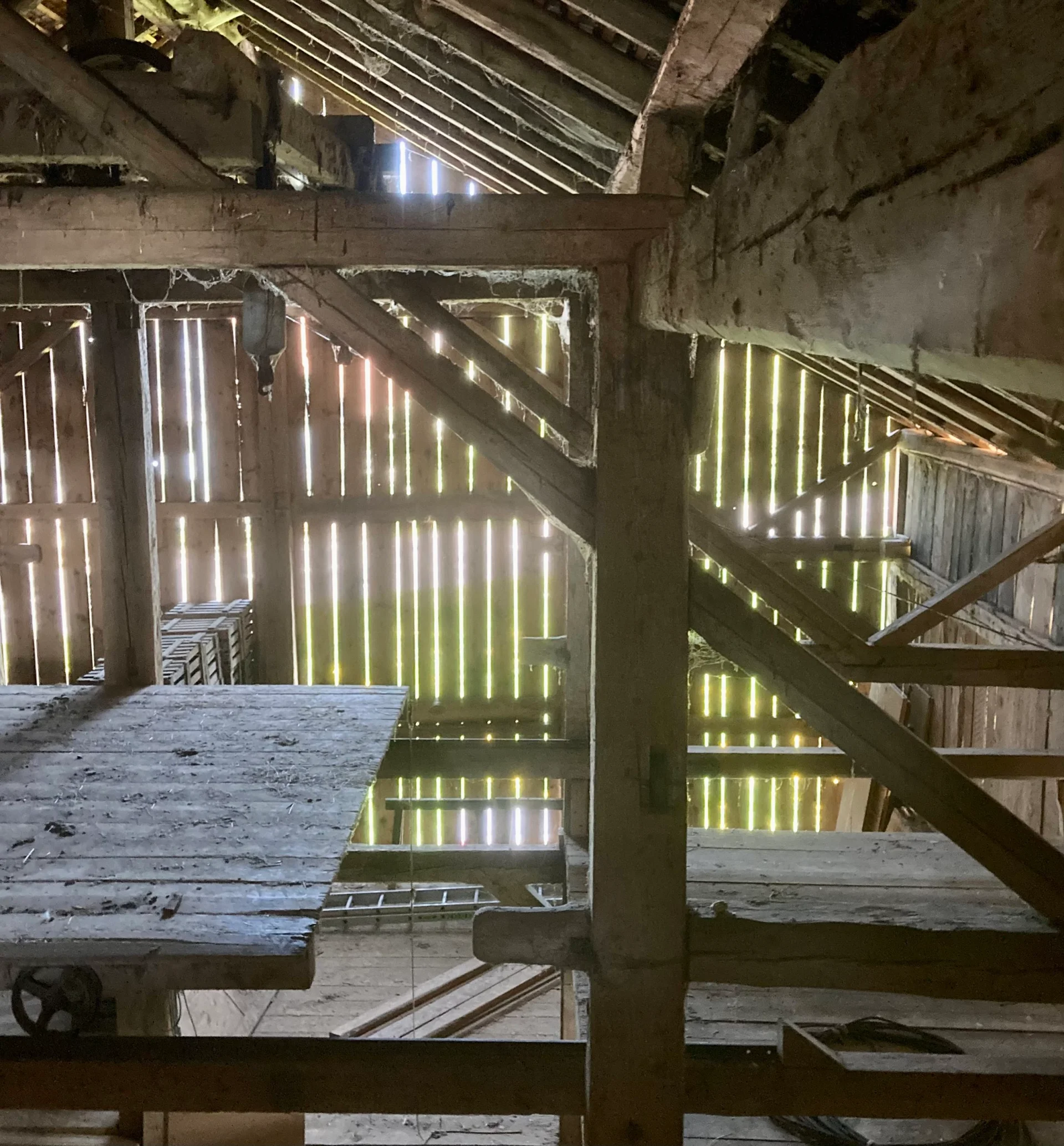 Ferme vaudoise à Carrouge — vue 4