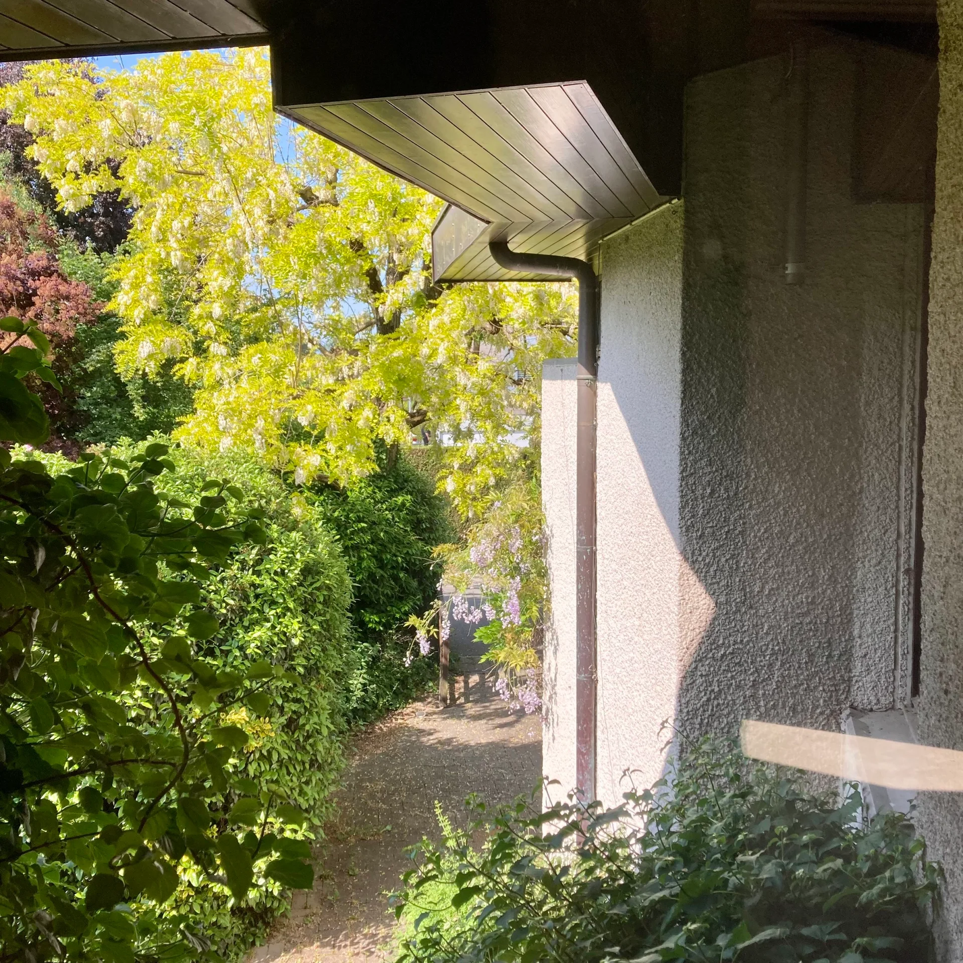 Rénovation villa d'architecte — vue 9